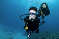 Scuba divers and coral