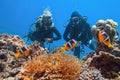 Scuba divers couple near beautiful coral reef watching sea anemone and family of two-banded anemone fish