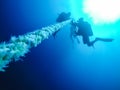 Scuba Divers Descending Holding a Rope to a Shipwreck in the Red Sea in Egypt. Royalty Free Stock Photo