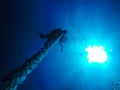 Scuba Divers Descending Holding a Rope to a Shipwreck in the Red Sea in Egypt.