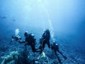 Scuba divers descending to the bottom