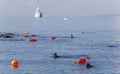 Divers during environmental cleaning beach day in Mallorca wide view