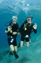 Scuba divers on a dive