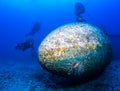 SCUBA divers explore the wreck of an aircraft