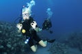 Scuba divers give OK sign Royalty Free Stock Photo