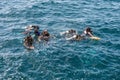 Scuba divers lessons near the shore in Male, Maldives