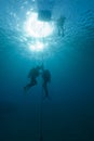 Scuba divers on line Royalty Free Stock Photo