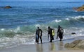 SCUBA divers at Moss Street Cove, Laguna Beach, California