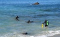 SCUBA divers at Moss Street Cove, Laguna Beach, California