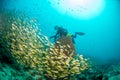 Scuba divers in sea in Thailand