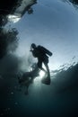 Scuba divers in silhouette Royalty Free Stock Photo