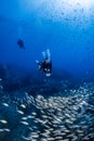 Scuba divers swim through Big school of fish on coral reef