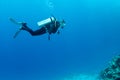 Scuba divers swim over coral reef