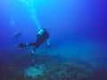 Scuba Divers swimming over the live coral reef full of fish Royalty Free Stock Photo