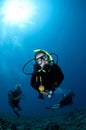 Scuba divers underwater