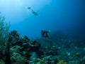 Scuba divers underwater Royalty Free Stock Photo