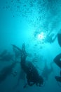 Scuba Divers underwater at Khao Lak, Thailand