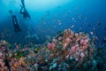 Scuba diving Royalty Free Stock Photo