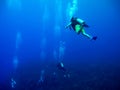 Scuba diving in Caribbean Sea Royalty Free Stock Photo