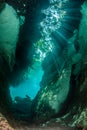 Scuba diving in the Casa Cenote in Mexico