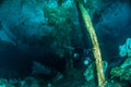 Scuba diving in the Cenote Dos Ojos, Mexico