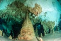 Scuba diving in the cenote Tak Bi Ha, Mexico