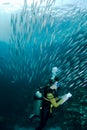 Scuba diving course Royalty Free Stock Photo