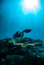 Scuba diving diver kapoposang sulawesi indonesia underwater Royalty Free Stock Photo