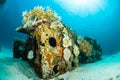 Scuba diving diver shipwreck kapoposang sulawesi indonesia underwater Royalty Free Stock Photo