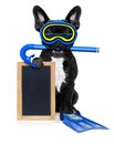 Scuba diving dog Royalty Free Stock Photo