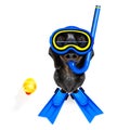 Scuba diving dog Royalty Free Stock Photo