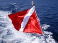 Scuba diving flag Royalty Free Stock Photo