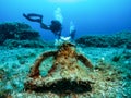 Scuba diving in Greece Royalty Free Stock Photo