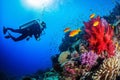 Scuba diving man exploring a breathtaking coral reef teeming with vibrant marine life, offering a captivating glimpse into the