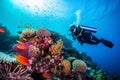 Scuba diving man exploring a breathtaking coral reef teeming with vibrant marine life, offering a captivating glimpse into the