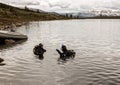 Scuba diving in a mountain lake, practicing techniques for emergency rescuers. immersion in cold water Royalty Free Stock Photo