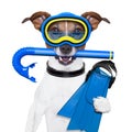 Scuba dog Royalty Free Stock Photo