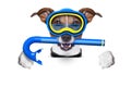 Scuba dog Royalty Free Stock Photo