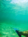 Scuba fin in Sardinian sea