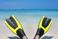 Scuba Fins on the Beach Royalty Free Stock Photo