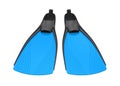 Scuba Fins Isolated Royalty Free Stock Photo