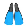 Scuba Fins Isolated Royalty Free Stock Photo