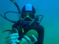 Scubadiver holding octopus Royalty Free Stock Photo