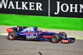 Scuderia Toro Rosso Royalty Free Stock Photo