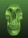 Scull 3d