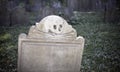 Scull and Cross Bones Gravestone Royalty Free Stock Photo