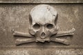 Scull at Gravestone Royalty Free Stock Photo