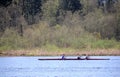 Sculling in Burnaby Lake