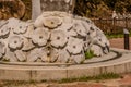 Sculpted Rose of Sharon flowers