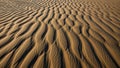 Sculpted sand dunes create intricate undulating patterns across the Royalty Free Stock Photo